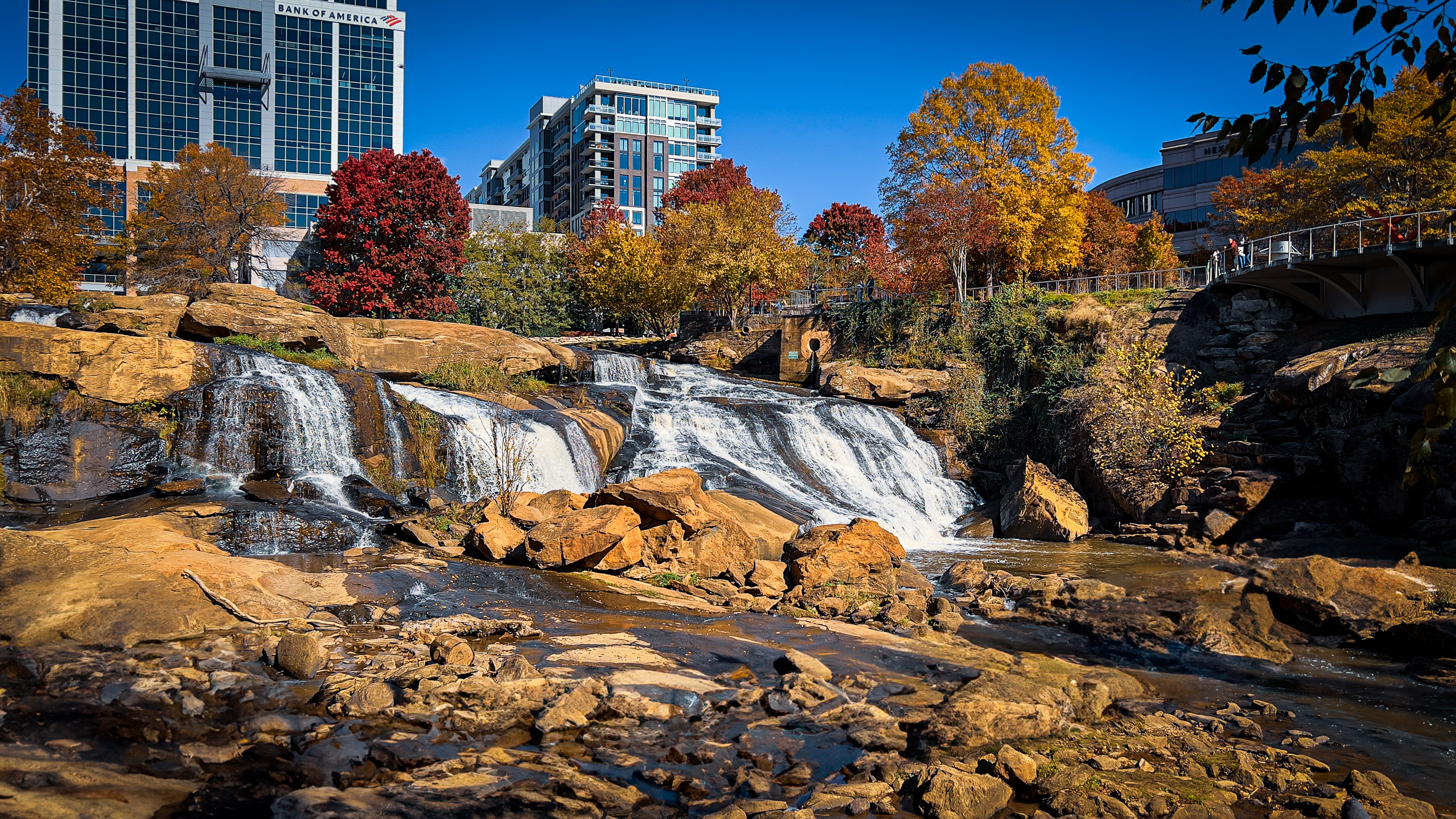 Water falls over brown rocks in Greenville, South Carolina's Reedy River. Trees on the ledge above the river display the bright red and yellow colors of fall. Office buildings in downtown Greenville tower in the background.